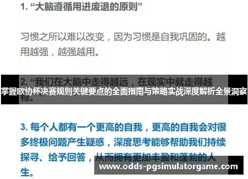 掌握欧协杯决赛规则关键要点的全面指南与策略实战深度解析全景洞察
